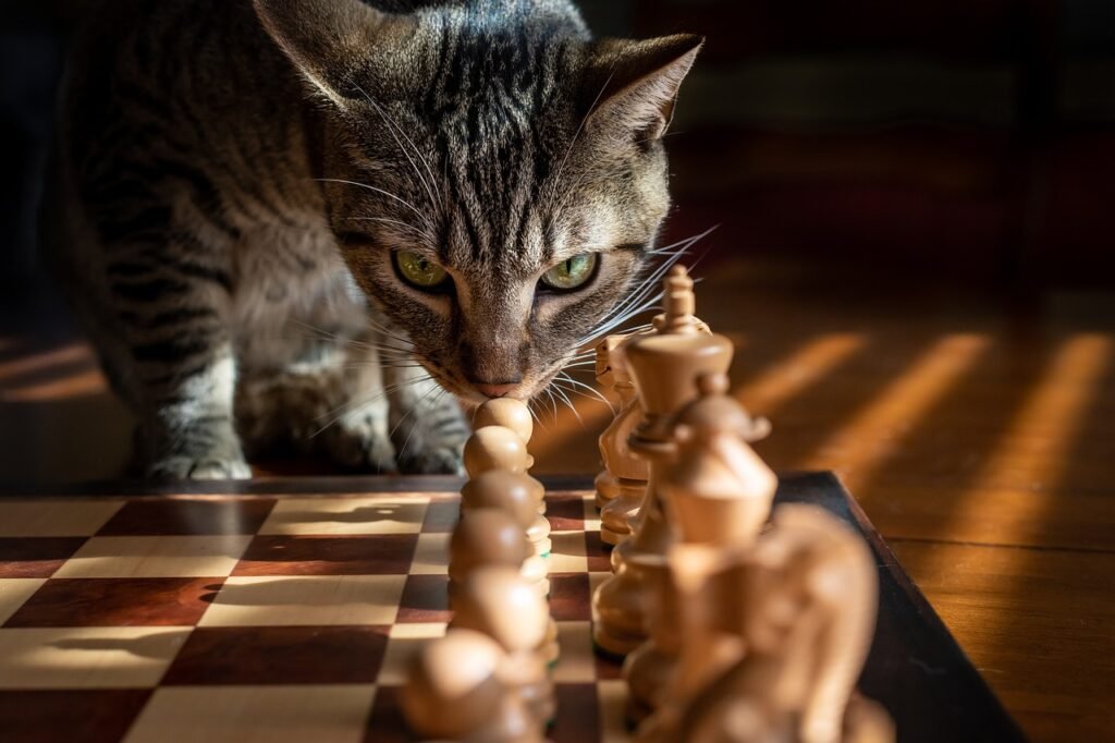 tabby, cat, chess, game, strategy, pet, tabby cat, striped cat, animal, domestic cat, feline, mammal, cute, portrait, cat photography, cat, nature, cat, chess, chess, chess, chess, chess, strategy, strategy